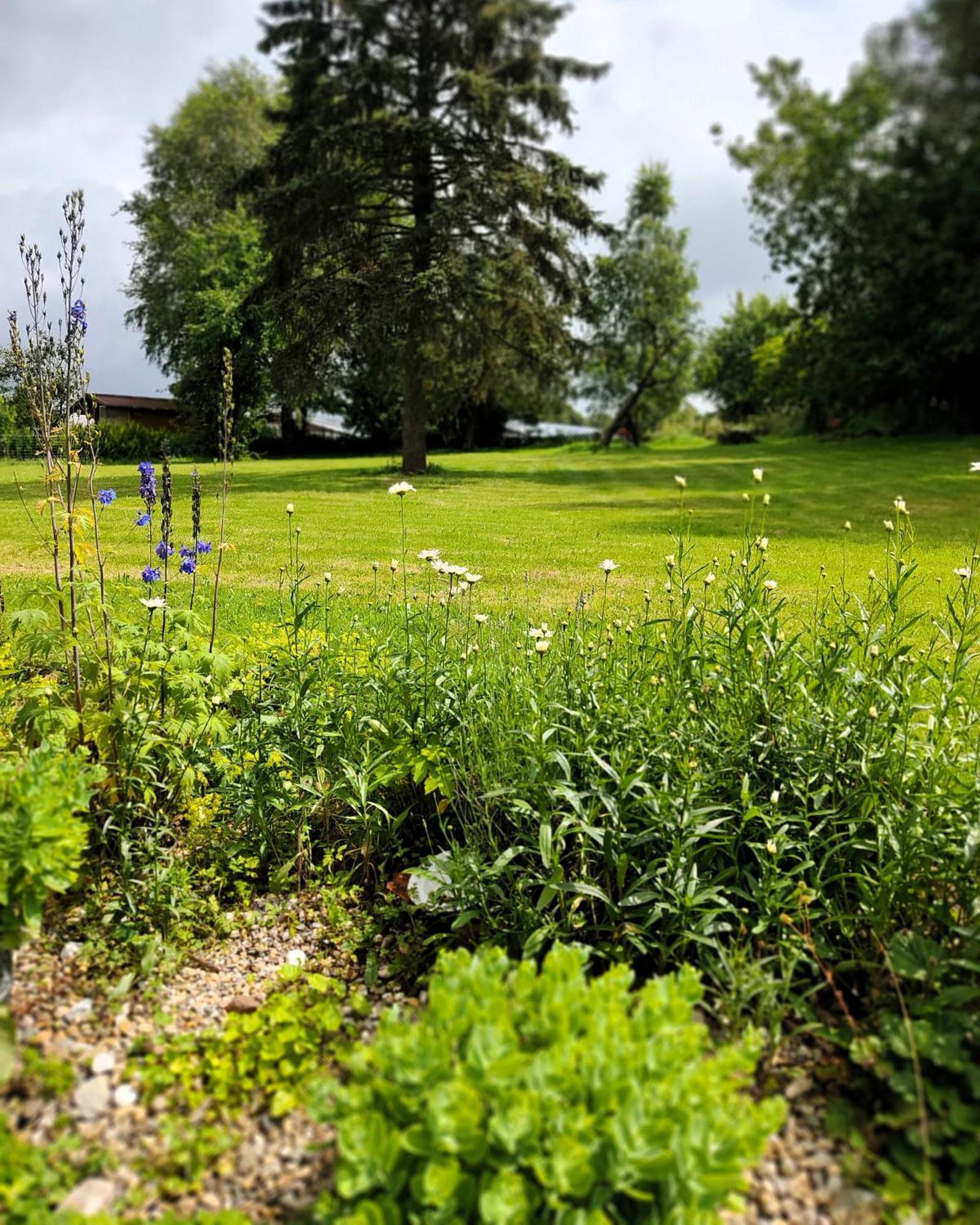Gruenvogels Landgasthof Zum Gruenen Baum Oberzent Extérieur photo